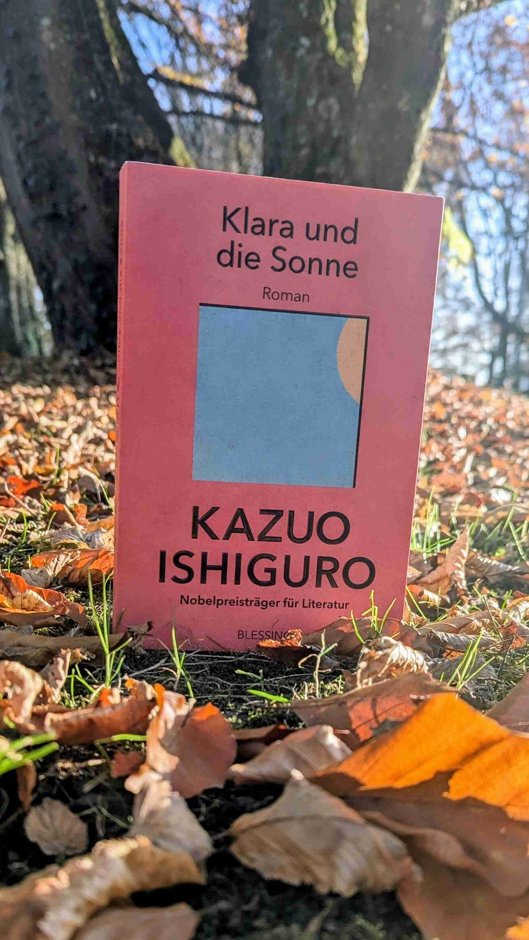 Sehr leicht zu lesen, Geschichte ganz sanft und ruhig. Leider ein paar Längen.