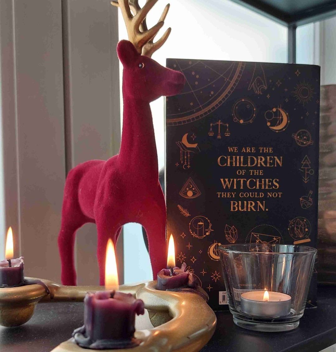 Ein interessantes Konzept mit tollen Charaktären und einem angenehmen Schreibstil, aber leider in der Umsetzung etwas langweilig und verwirrend. Das Buch wirft Fragen über Fragen auf, die im ersten Band nicht beantwortet werden.