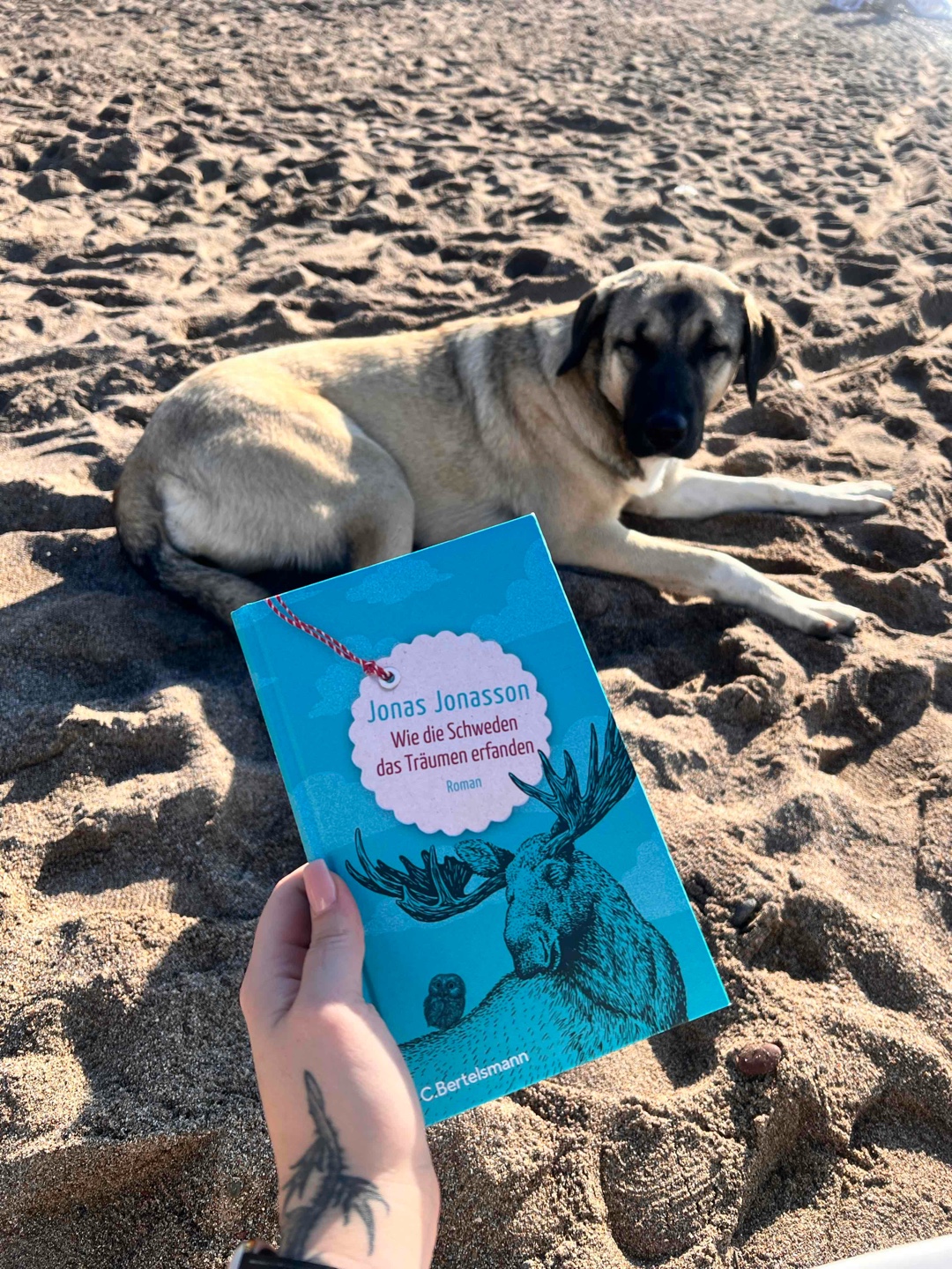 Das perfekte Buch für einen Tag am Strand.🏖️