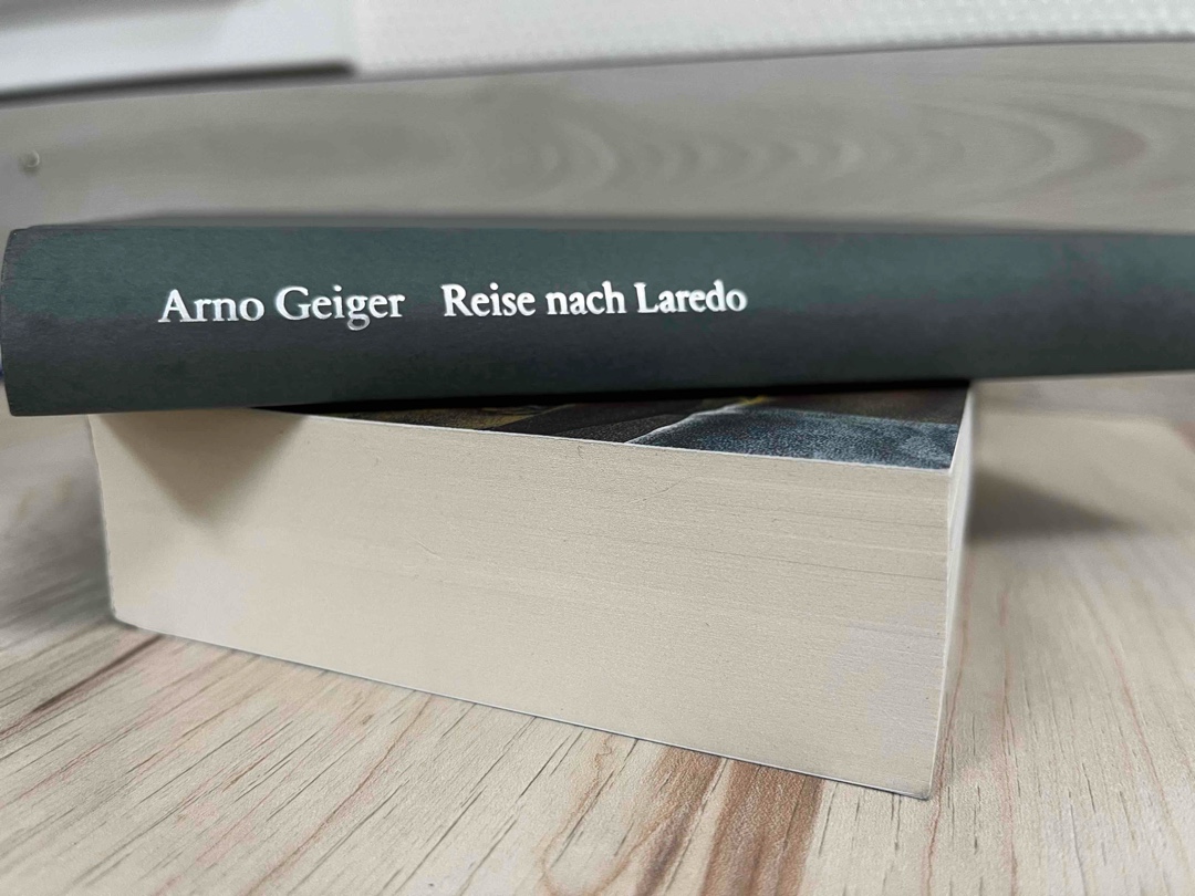Ich habe mich mit dem Buch sehr schwer getan.
Es passiert im Grunde nichts. Es gibt kaum Handlung. Ich habe mich leider sehr gelangweilt. Die einzig interessanten Episoden sind die, in denen Karls Ehefrau Isabella auftaucht. Diese Episoden sind aber selten.