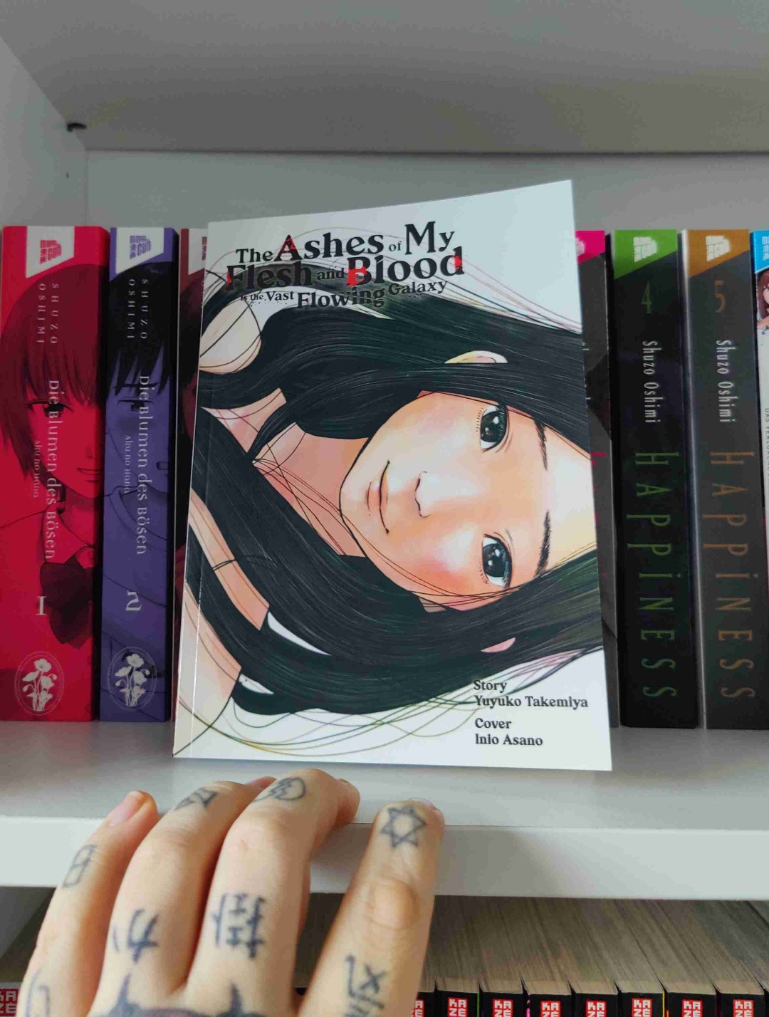 Unglaublich schöner Light Novel