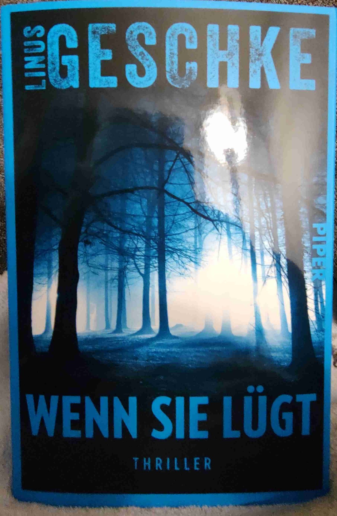 Ein spannender Thriller!