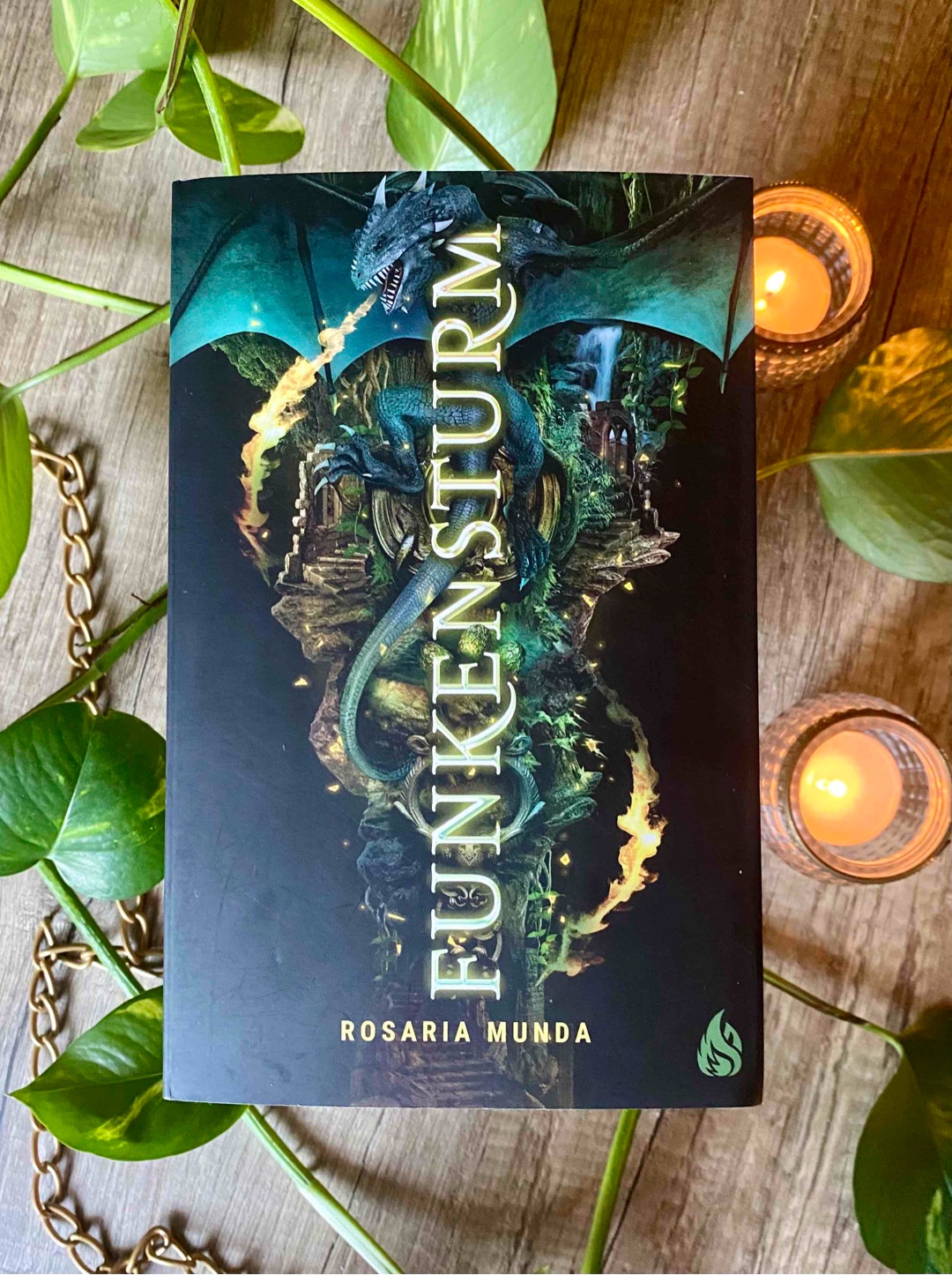 Das Finale der Trilogie.
Und was für ein Ende! Es gab Rachefeldzüge denen ich entgegengefiebert habe und derbe Verluste, die ich nicht habe kommen sehen 🥺😢
Wenn ihr Lust auf Drachen, liebevoll gestaltete Charaktere, strategische Kriegsführung und zur Abwechslung mal nicht so viel Spice habt, dann ist diese Reihe genau das Richtige ❤️
Der Aurelianische Zyklus:
1️⃣ Feuererwachen
2️⃣ Flammenfall
3️⃣ Funkensturm