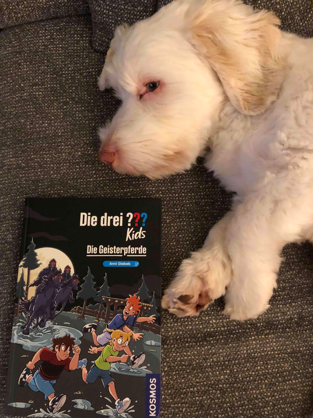 Ich fand es voll spannend!