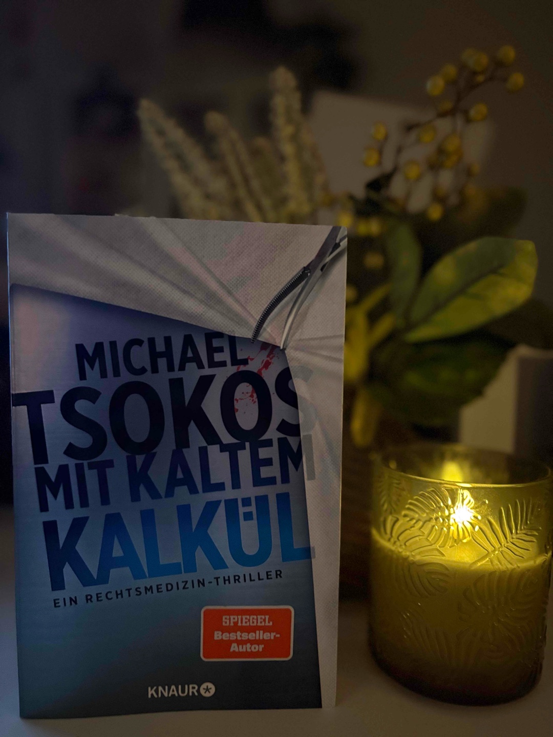 Nun habe ich auch den 2. Teil aus der Reihe um Dr.Sabine Yao gelesen.