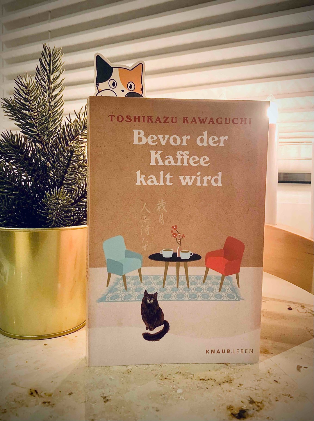 Würdest du in die Vergangenheit reisen, um eine Situation nochmal zu erleben?🪑 ☕️