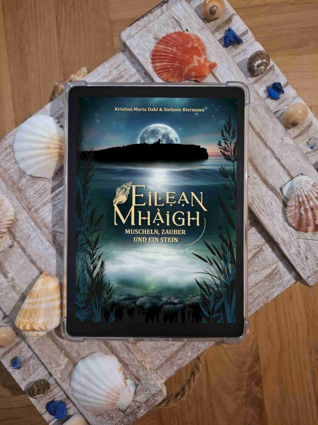 🌟Rezension🌟
Vielen lieben Dank an @kristina.dahl.writer und @stefanie.biermann.writer für das Rezensionsexemplar 🫶🏻🥰
