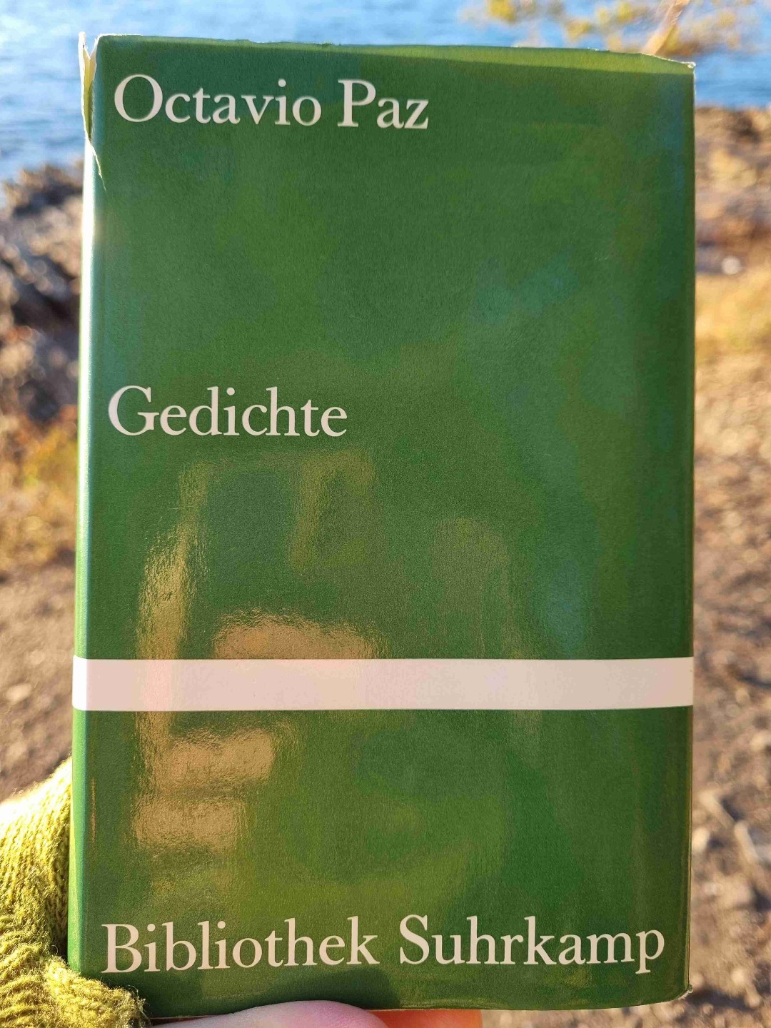Gedichte vom mexikanischen Nobelpreisträger