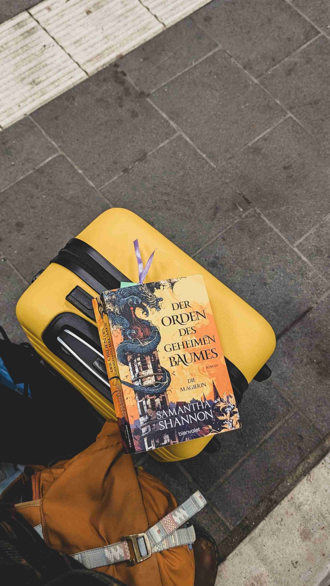 Shannon hat aus ihren Worten eine phantastische Welt erschaffen. Ein Welt voller Drachen, Mysterien,  Intrigen und Machtkämpfe. Um richtig in die Geschichte einzutauchen, musste ich mich aber leider durch die ersten 200 Seiten kämpfen.