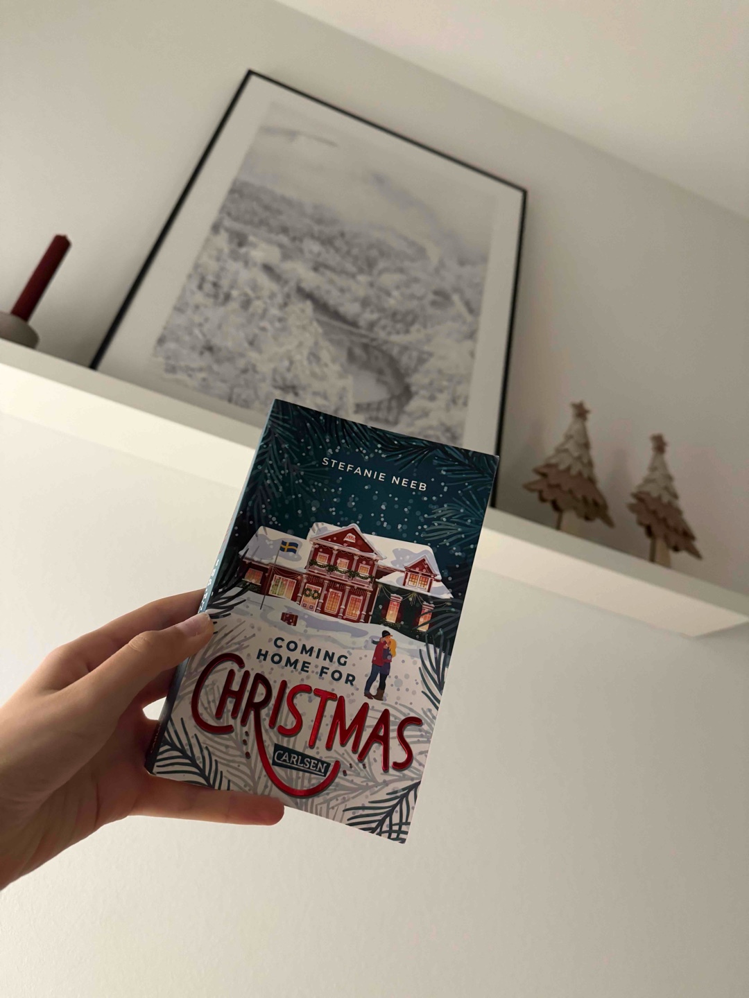 Ein süßes Weihnachtsbuch, passend zur Vorweihnachtszeit 🌟🎄💫