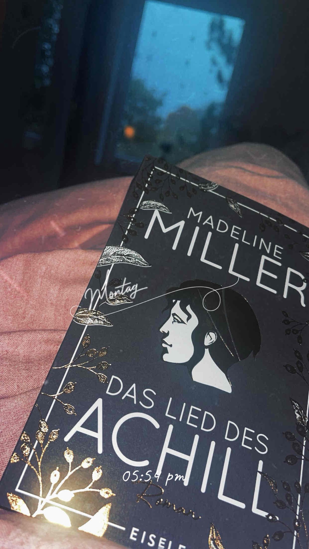 Ich habe dieses Buch mit jeder Faser geliebt aber das Ende hat mich zerstört 🏹☀️💛