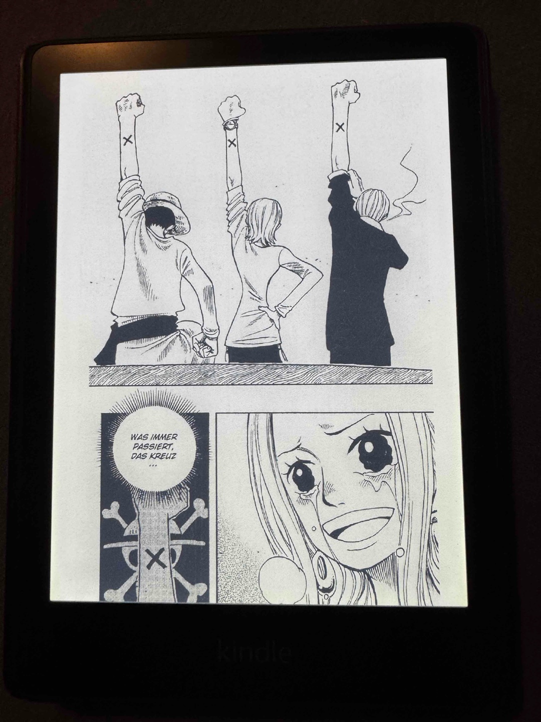 Alabasta wurde gerettet! 👍🏻🥰🥹