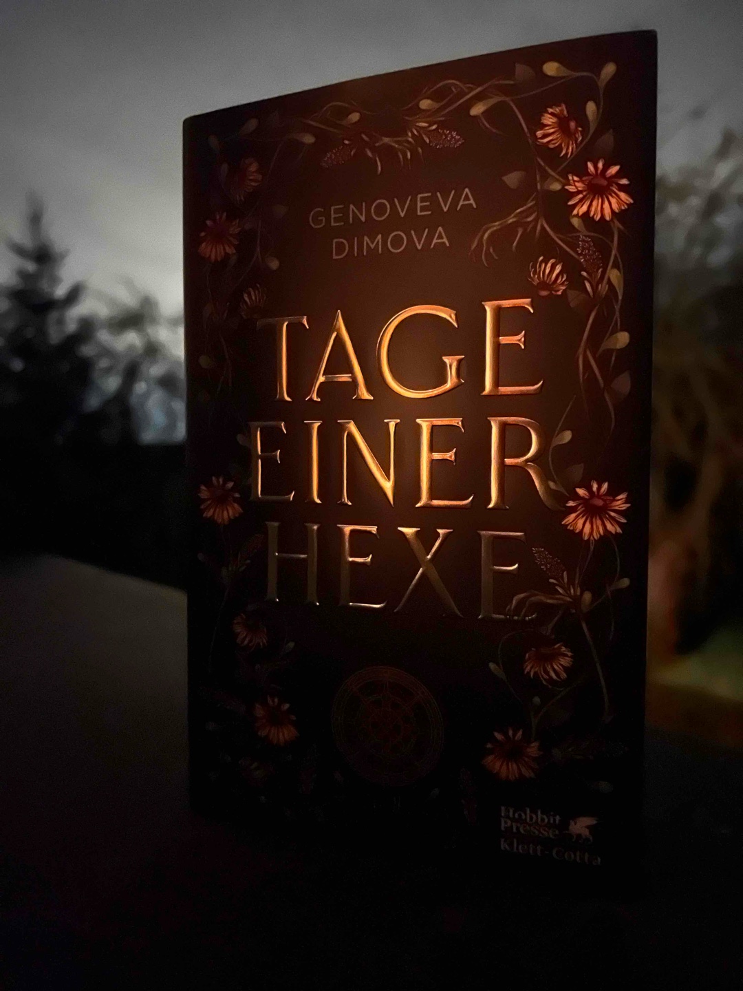 Wer Silvester mit einem Buch verbringen möchte, der sollte zu diesem greifen . Ein bisschen bin ich traurig, dass ich mir die Gelegenheit genommen habe, aber nur ein bisschen, das Buch ist grandios ☺️