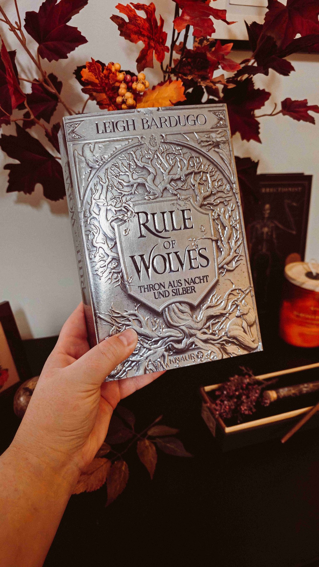 Spoiler Review!
Bitte sagt mir, dass da in Zukunft noch ein anderes Buch kommen wird? Weil dieses Ende.. das ist eine perfekte Vorlage für weitere Abenteuer in Grishaverse Universum.