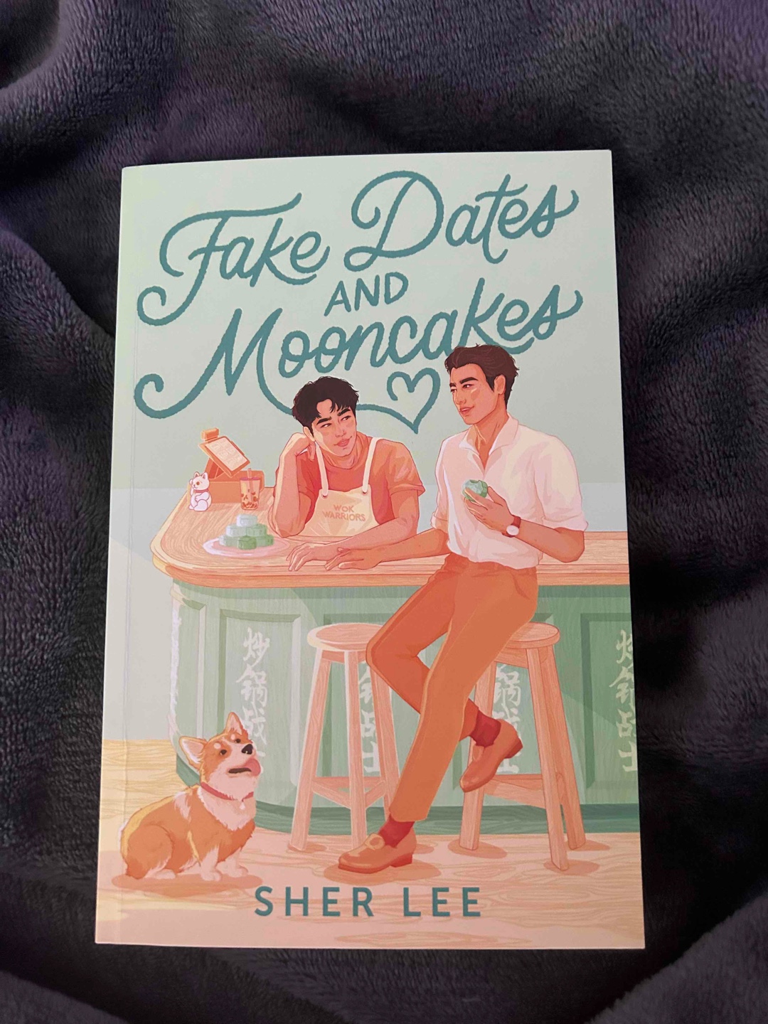 an aspiring chef who discovers the recipe for love is more complicated than it seems when he starts fake-dating a handsome new customer.