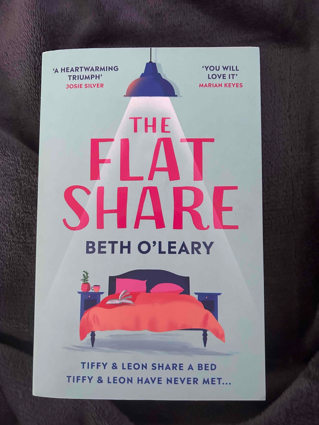 Both have agreed on an unusual arrangement between themselves and are sharing not only a flat, but a bed together. But they don't see each other. Tiffy has the apartment to herself in the evenings, and when she's off to work, that's when Leon comes home
