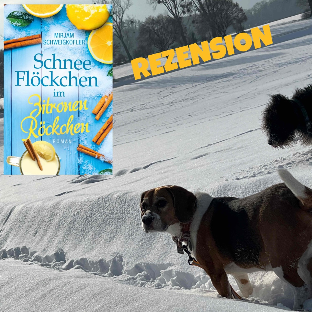 Mit vorweihnachtlichem Flair