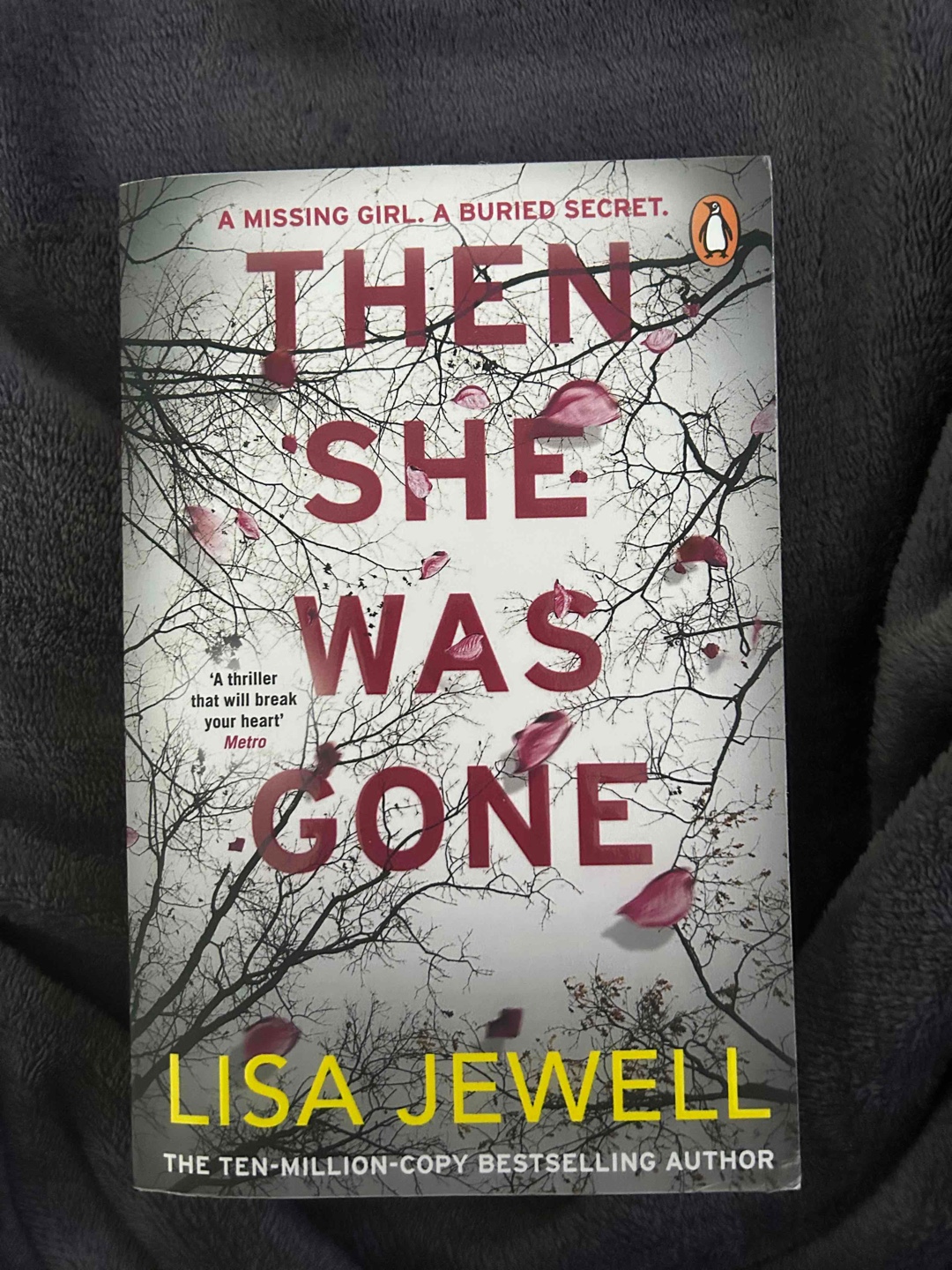 Its a psychological thriller that follows the story of a mother trying to uncover the truth behind her daughter's disappearance. It delves into family secrets, betrayal, and the devastating consequences of obsession.