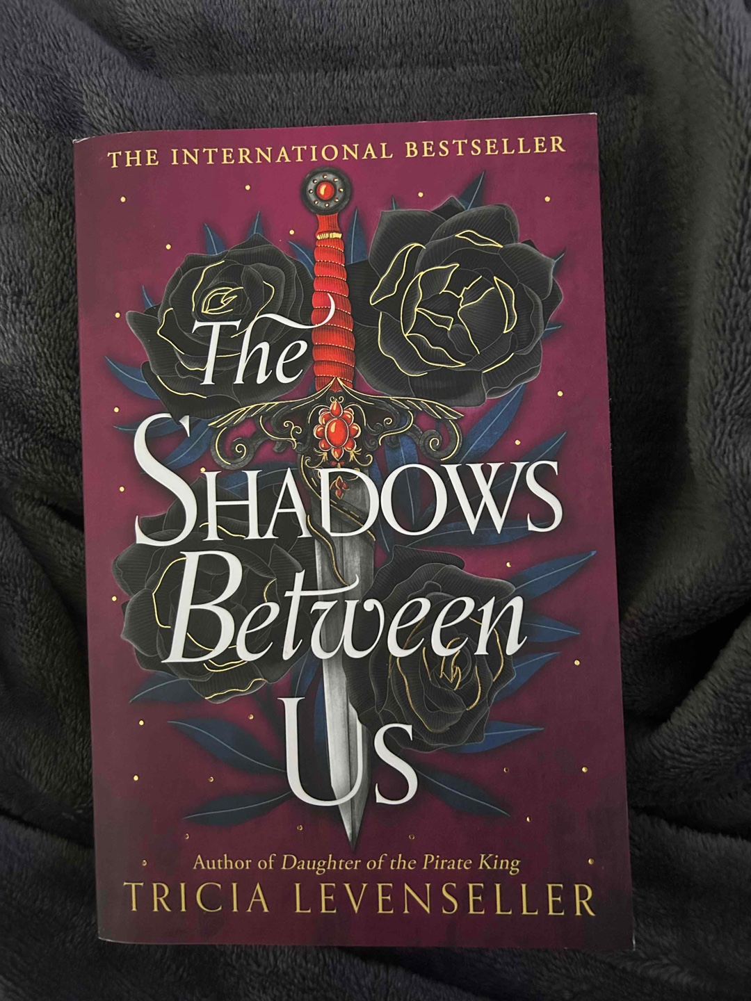 It follows the story of Alessandra and her journey as she plans to charm the Shadow King, marry him but then kill him to take over his kingdom for herself. Shadow King is newly crowned and nobody knows the extent of his power. When suddenly other attempts on Shadow King’s life are made, Alessandra finds herself helping him and trying to keep him alive long enough for her plan to come to action, all while trying not to fall in love.