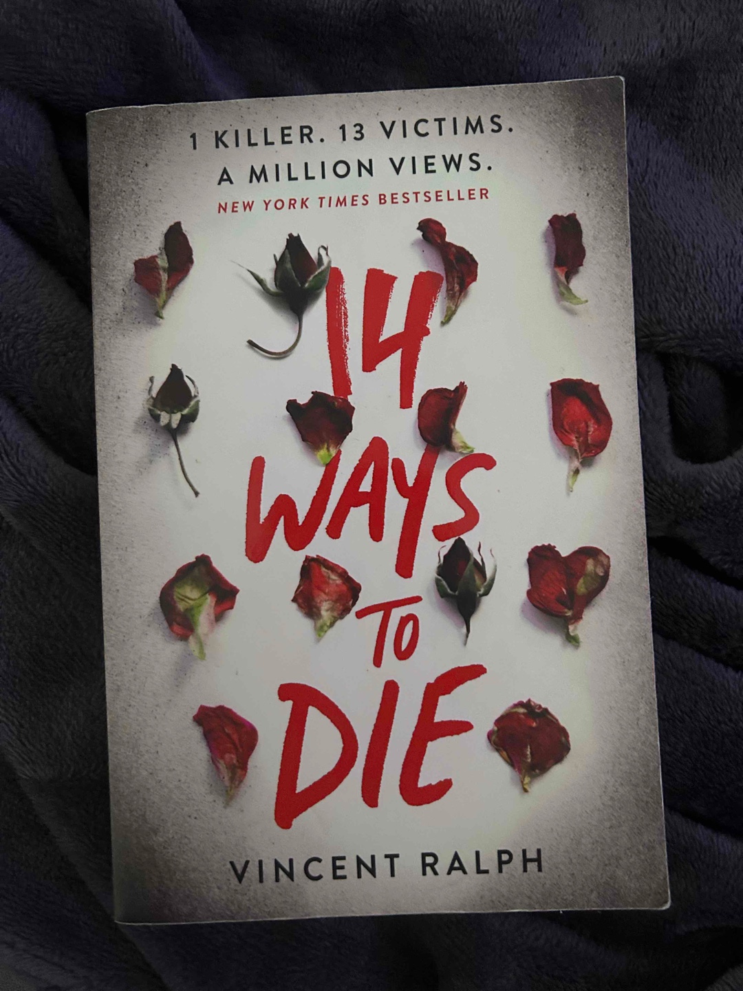 It’s about 17 year old Jessica, who wins a spot on a live-streamed reality show that follows her around and documents her every movement each Monday. Jessica's goal: to flush out the Magpie Man, the serial killler who murdered her mom 10 years ago.