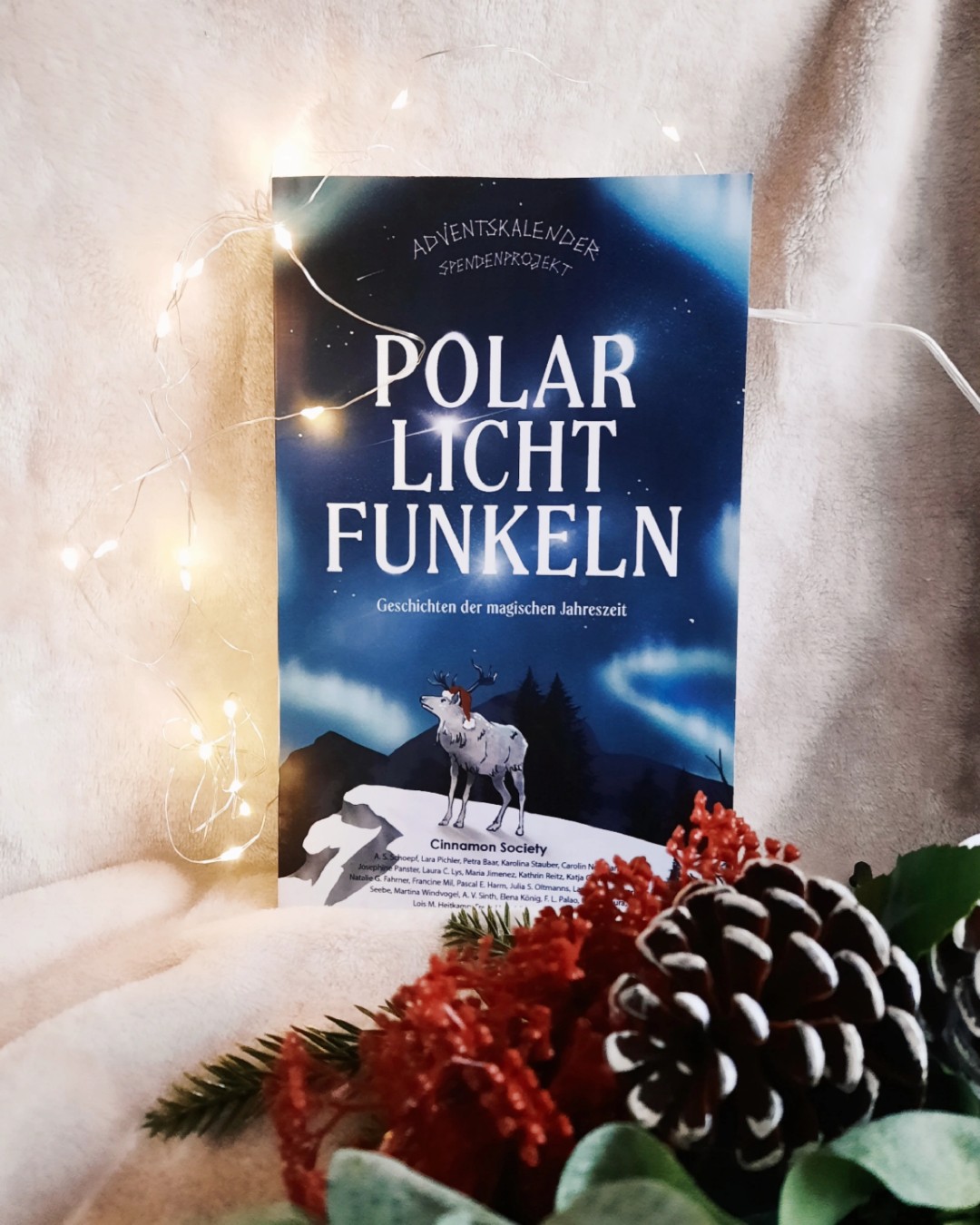 Adventskalender Spendenprojekt