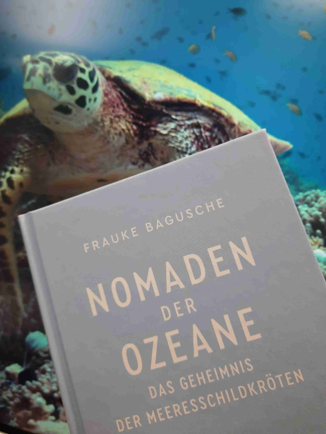Sehr informativ!🍃🌊🐢