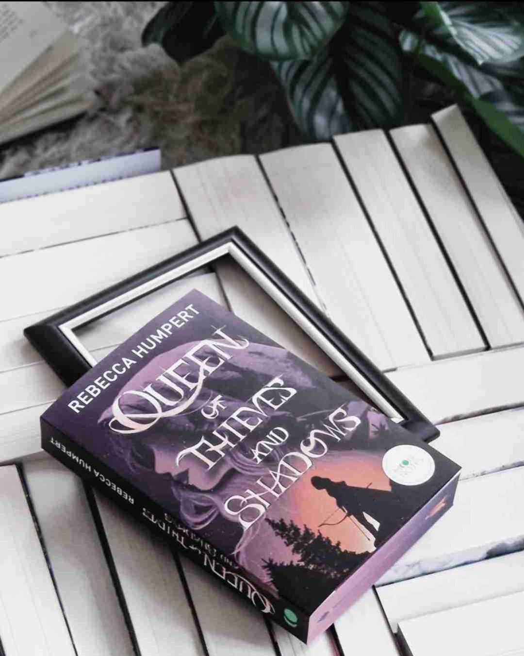Wer auf der Suche nach einer spannenden Fantasygeschichte als Standalone mit tiefgründigen Charakteren ist, dem kann ich dieses Buch nur ans Herz legen.
