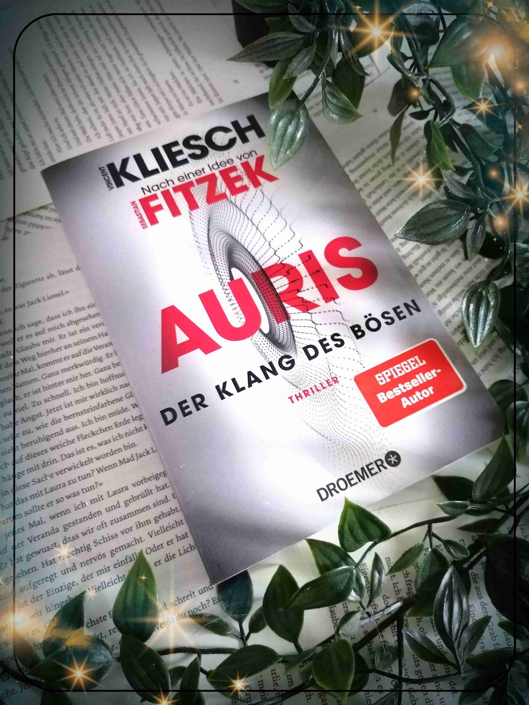 Wieder ein sehr persönlicher Fall für Hegel. Hat mir gut gefallen, das Ende hat einen Cliffhanger. Tolle Reihe.