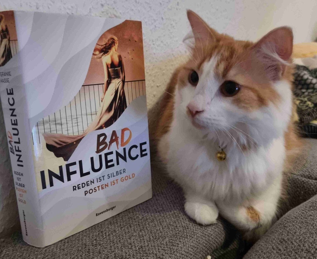 Der Text auf dem Cover beschreibt das buch perfekt 
