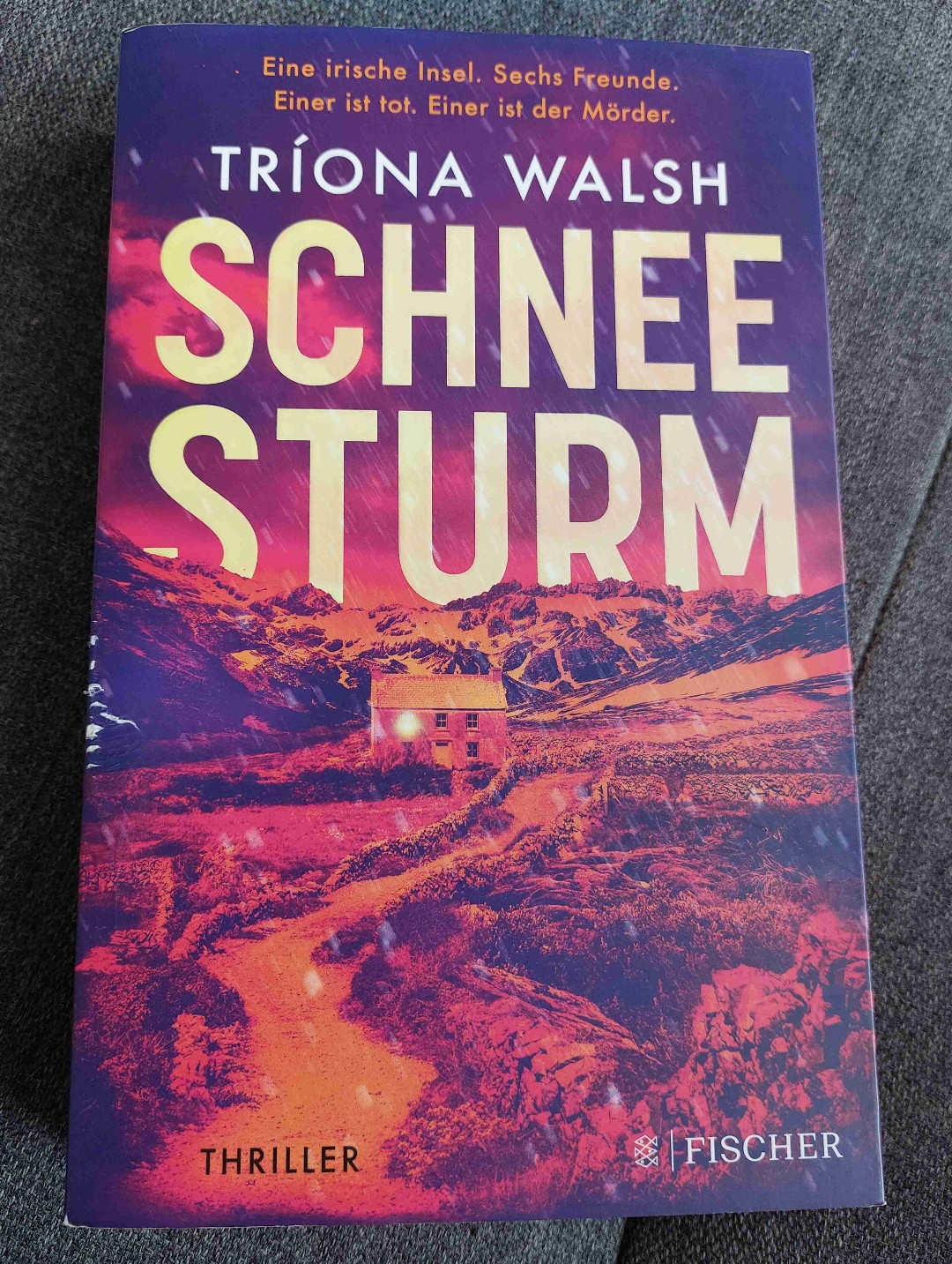 Spannender Thriller mit vielen dramatischen Wendungen......
