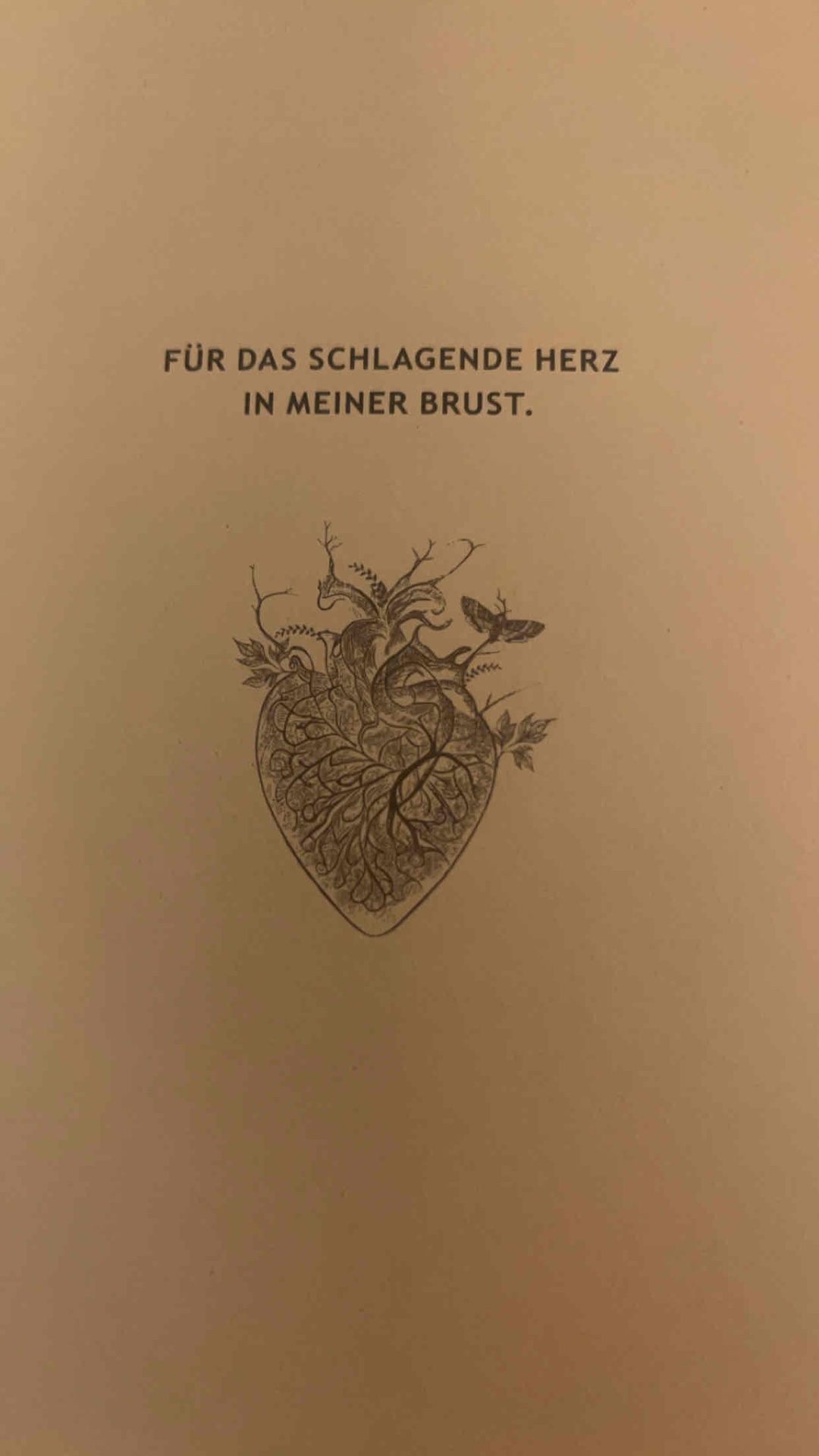 Liebe kennt keine Grenzen
