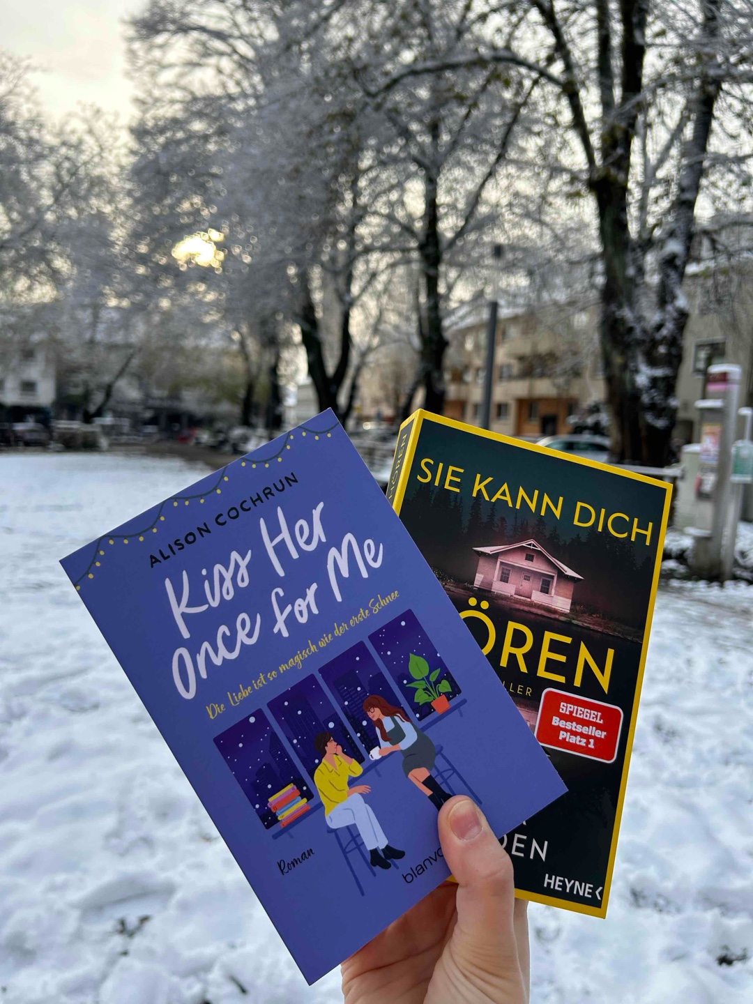 Mein erstes Weihnachtsbuch und Buddy read und meine zweite queere Lovestory❤️