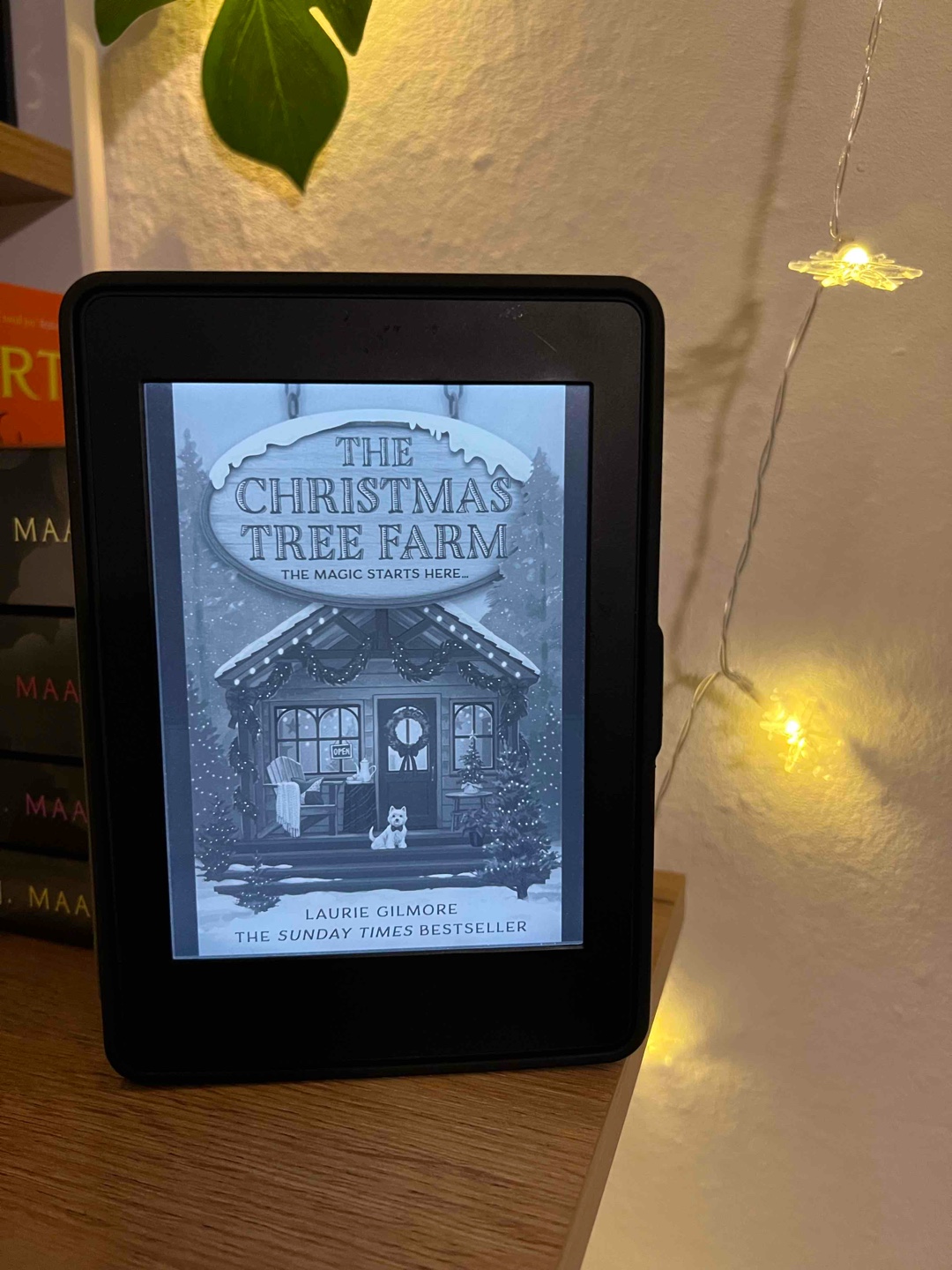 „The lights were still up at the end of January, because this was her place and she made the rules.“