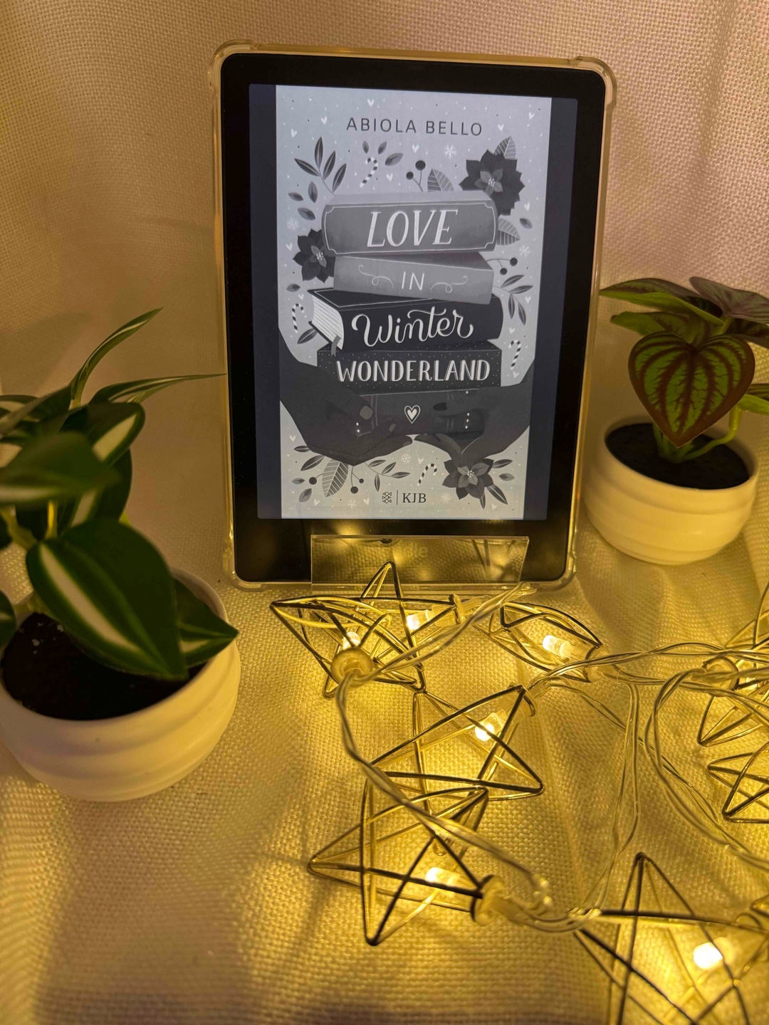 Wundervolles Weihnachtsbuch 
