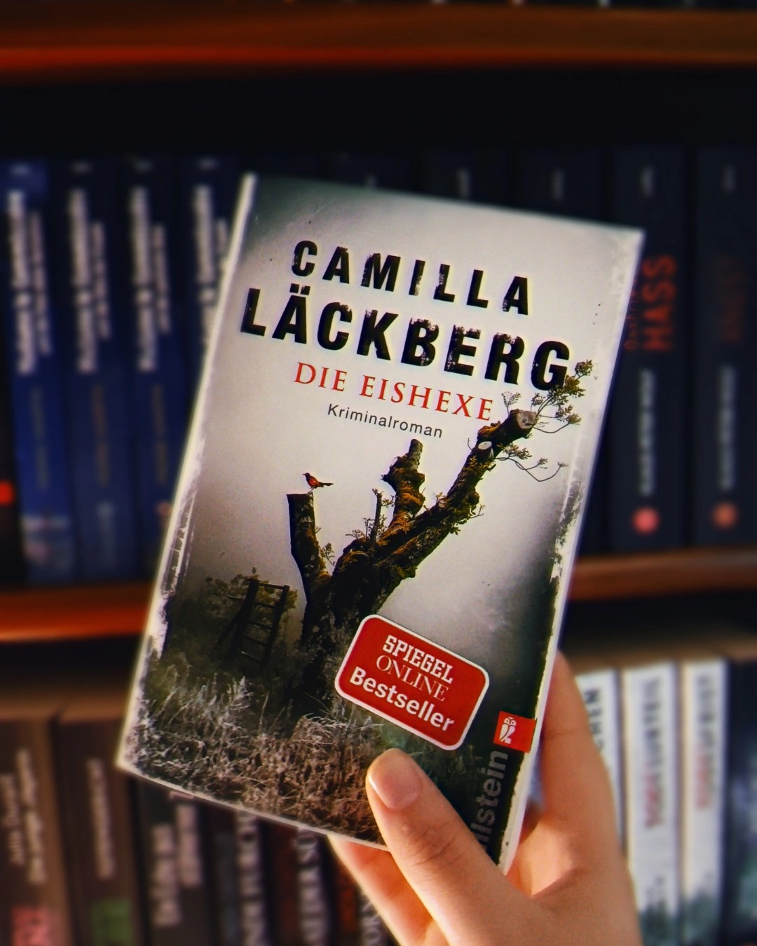 Man kann's lesen, aber so wirklich meins war es halt nicht, hat mich nicht richtig vom Hocker gehauen.