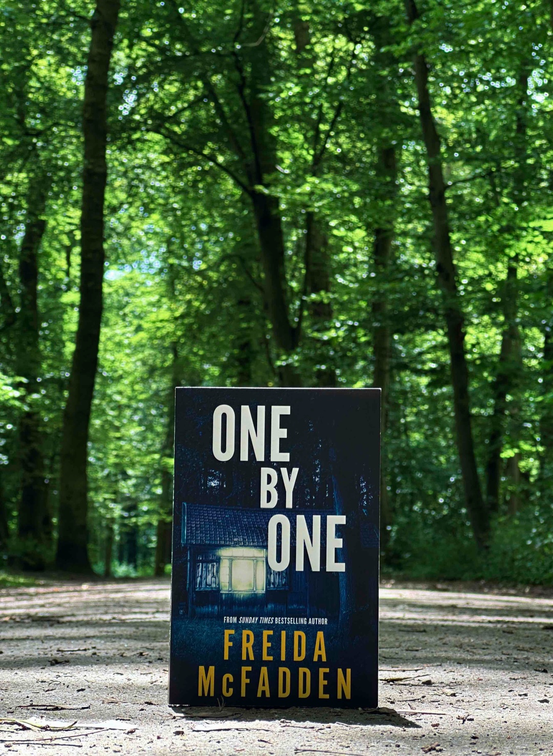 Quick awesome read