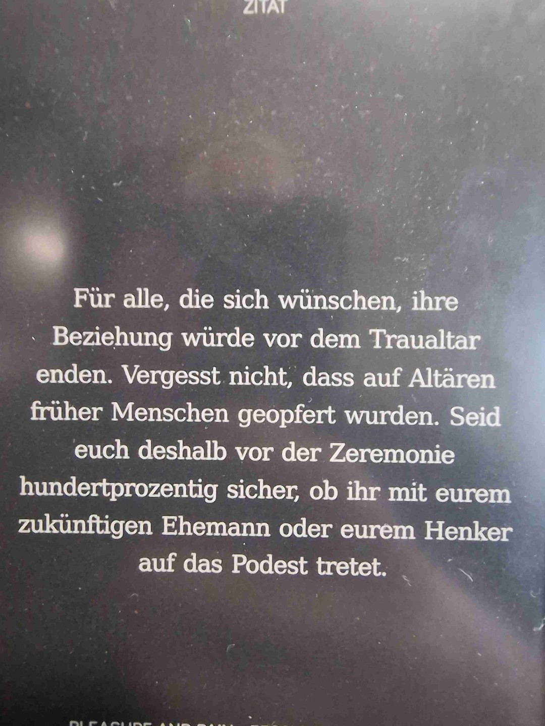 Zwischen Leidenschaft und Schmerz – eine fesselnde Achterbahnfahrt der Gefühle