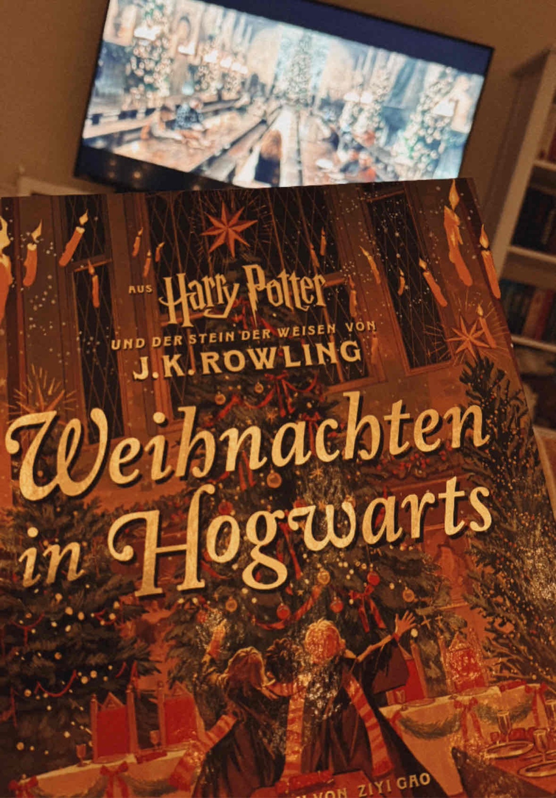 Weihnachtsstimmung in Hogwarts✨