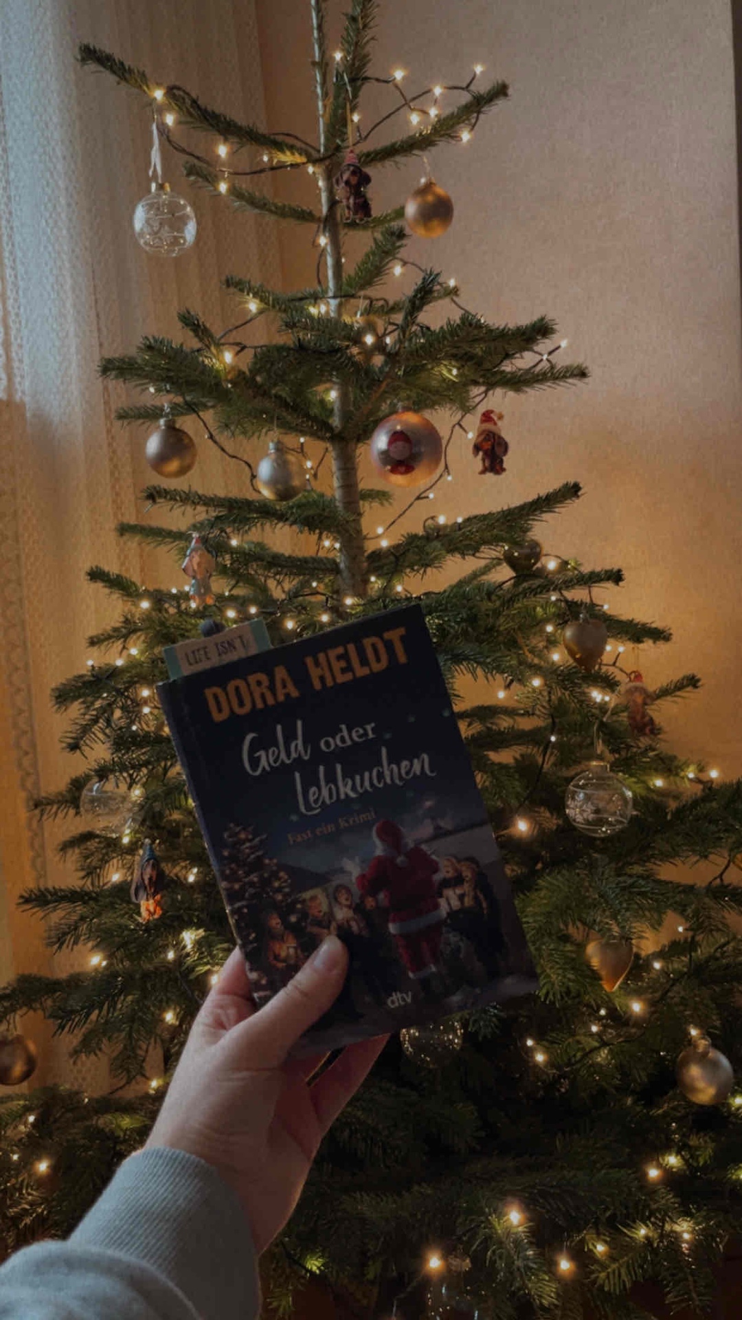 Witzige Weihnachtsgeschichte für zwischendurch 🎄🎁