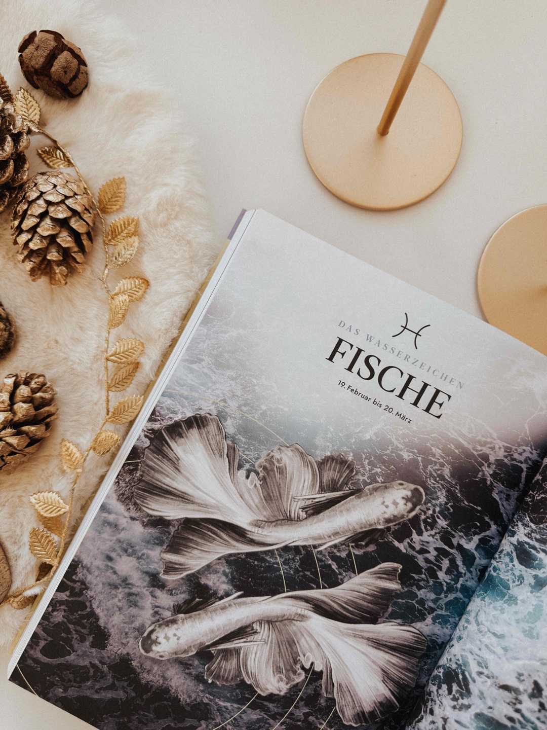 „Die Fische fühlen sich im Numinosen zu Hause.“