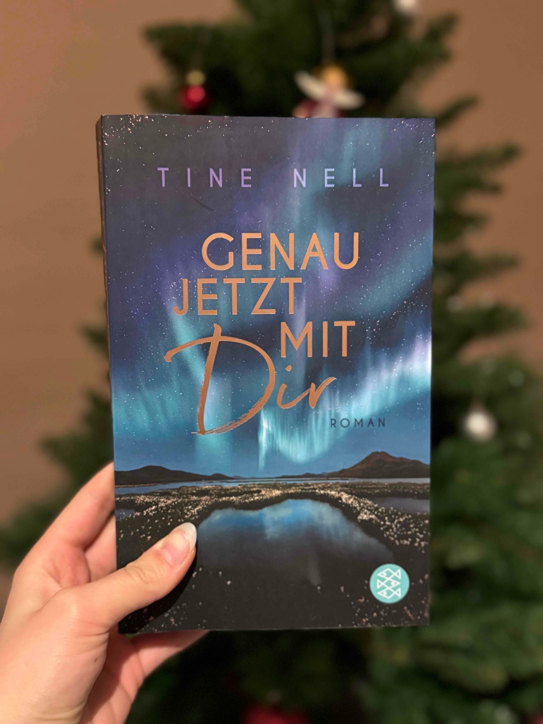„Knisternde Romantik unter nördlichen Sternen“ ~ Tine Nell 