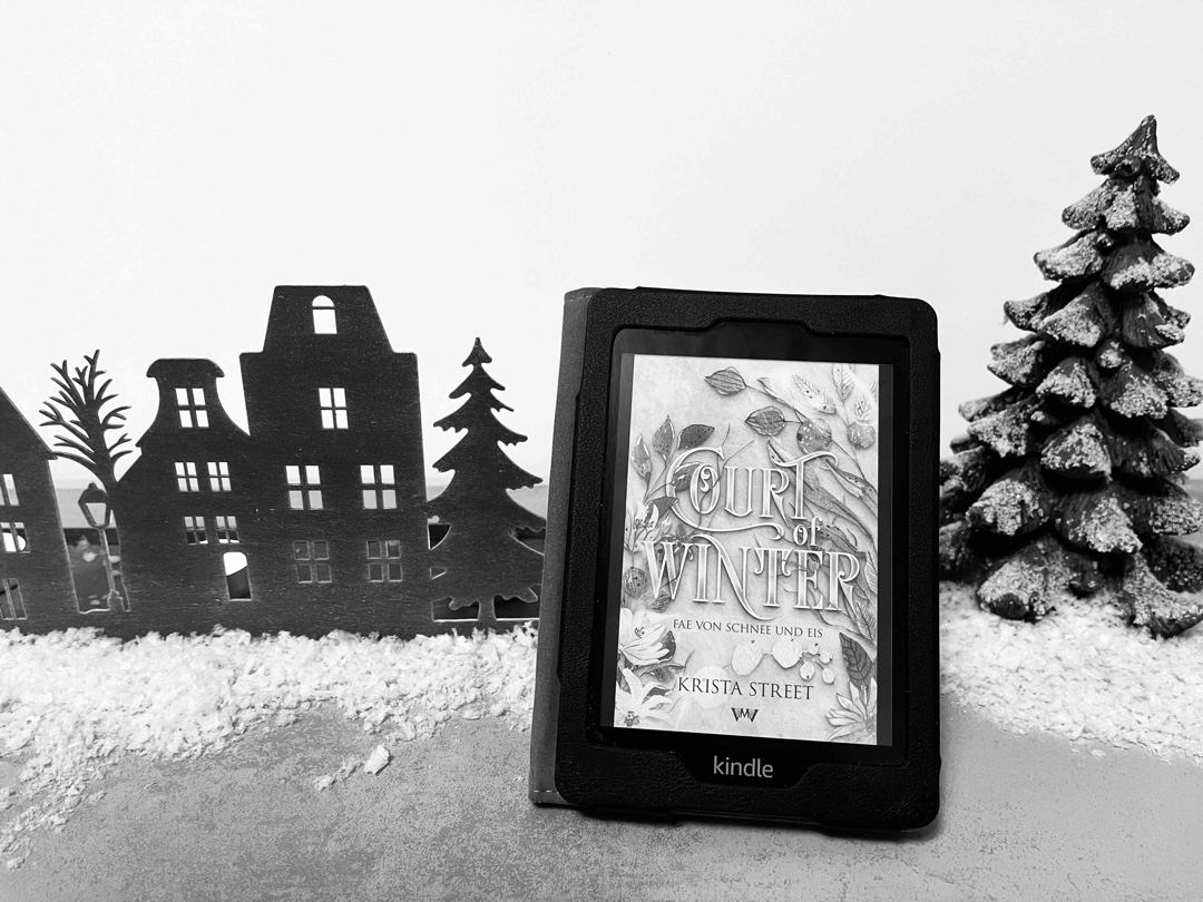 Düster und geheimnisvoll - Fae Romantasy für die kalte Jahreszeit. ❄️
