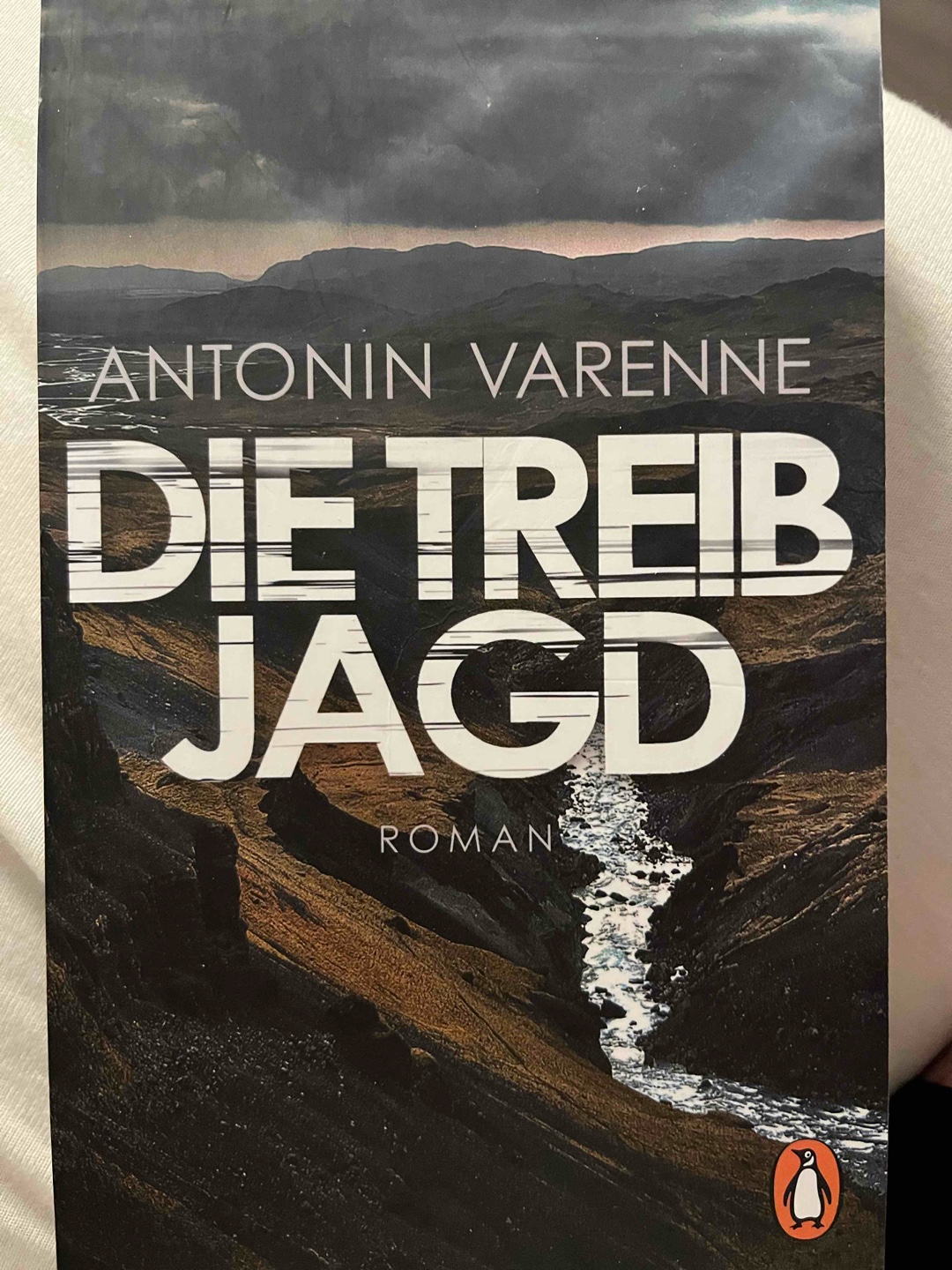 Ein atmosphärisch dichter, anfangs sehr komplexer französischer Roman. Düstere Stimmung und schwierige Charaktere. Toll zu lesen. ⭐️⭐️⭐️⭐️⭐️