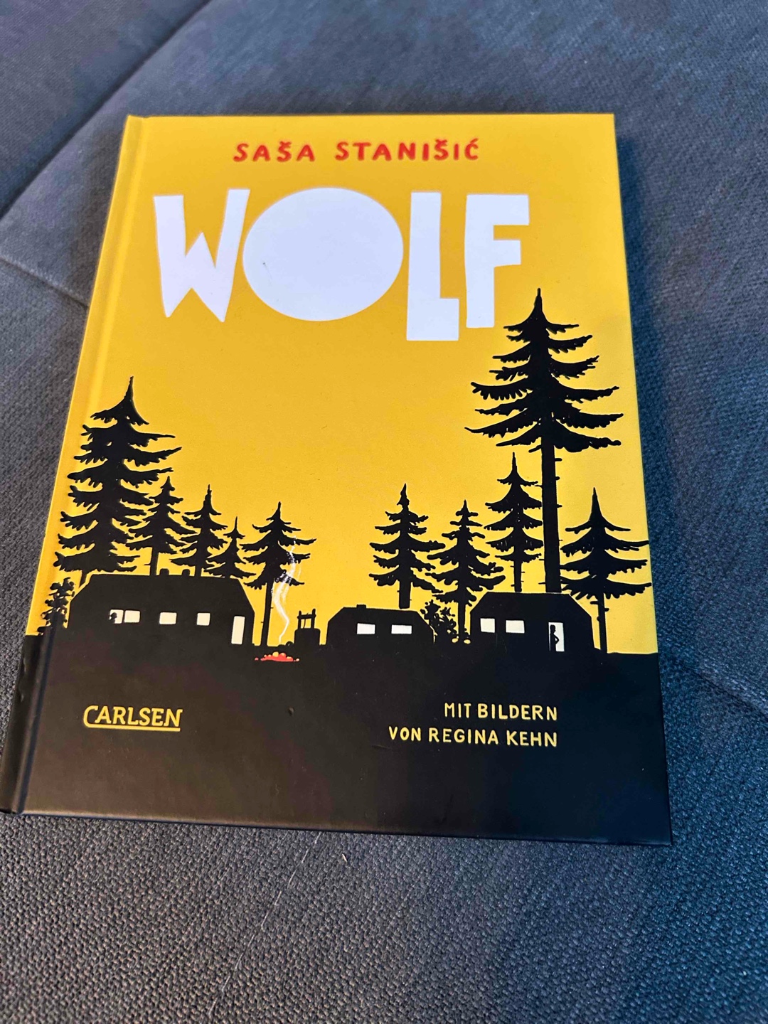 Tolles Buch: Mobbing, Mücken, Ferienlager