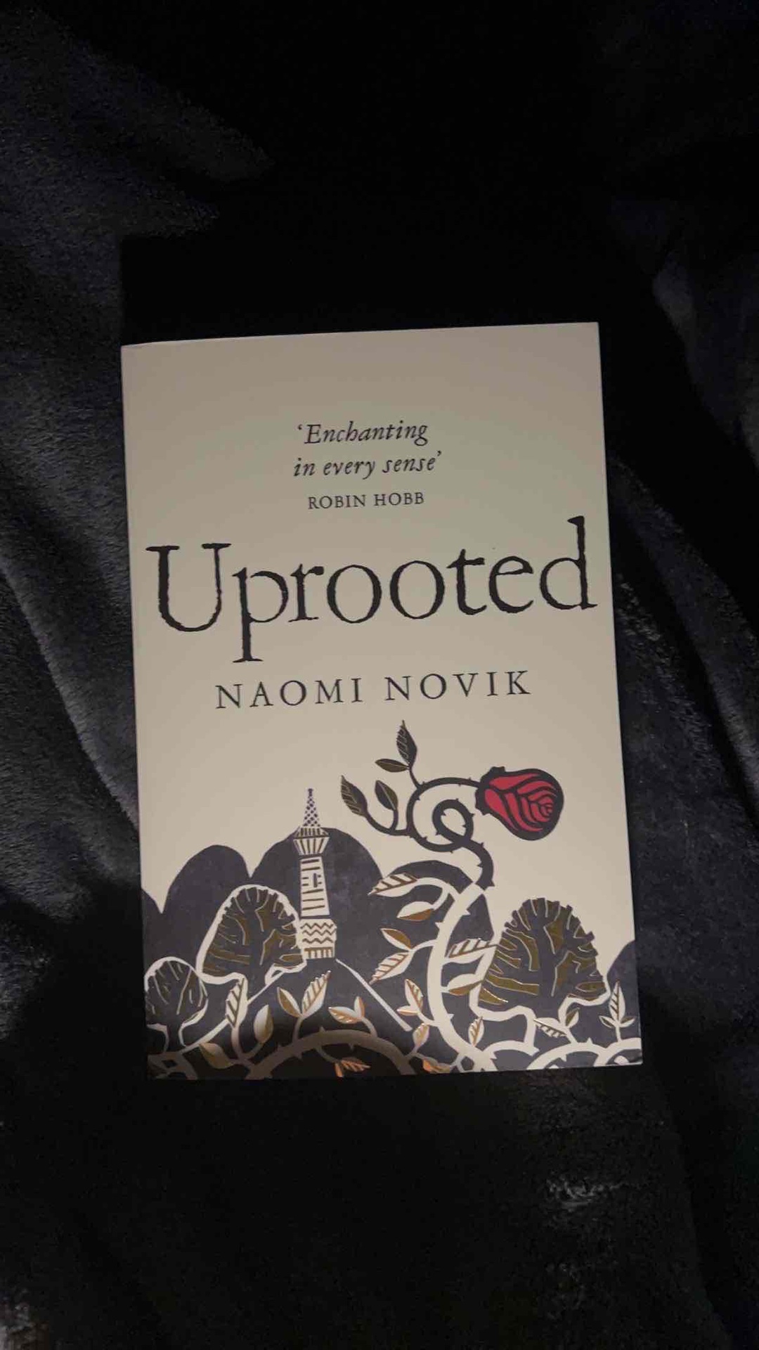 The story tells of a village girl, Agnieszka, who is selected by the local wizard for her unseen magical powers. Together they battle the Wood, a nearby forest, as it seeks to take over the land.