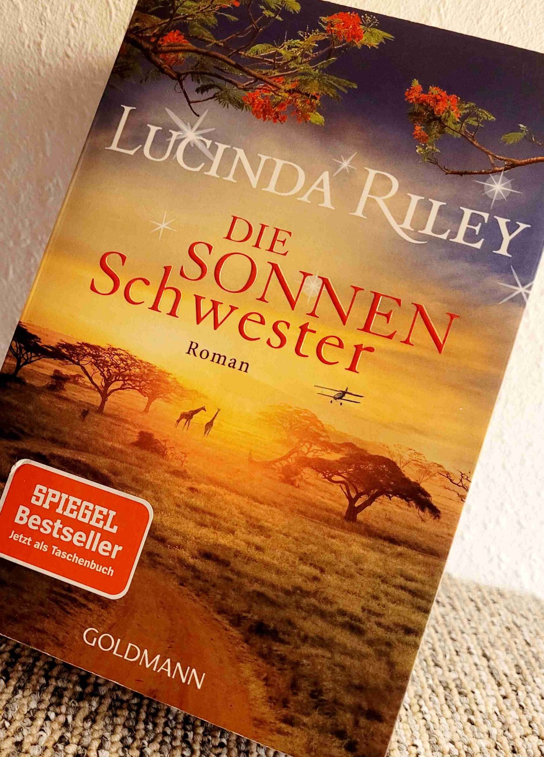 Für mich einer der schwächsten Teile...zum Schluss aber spannend.