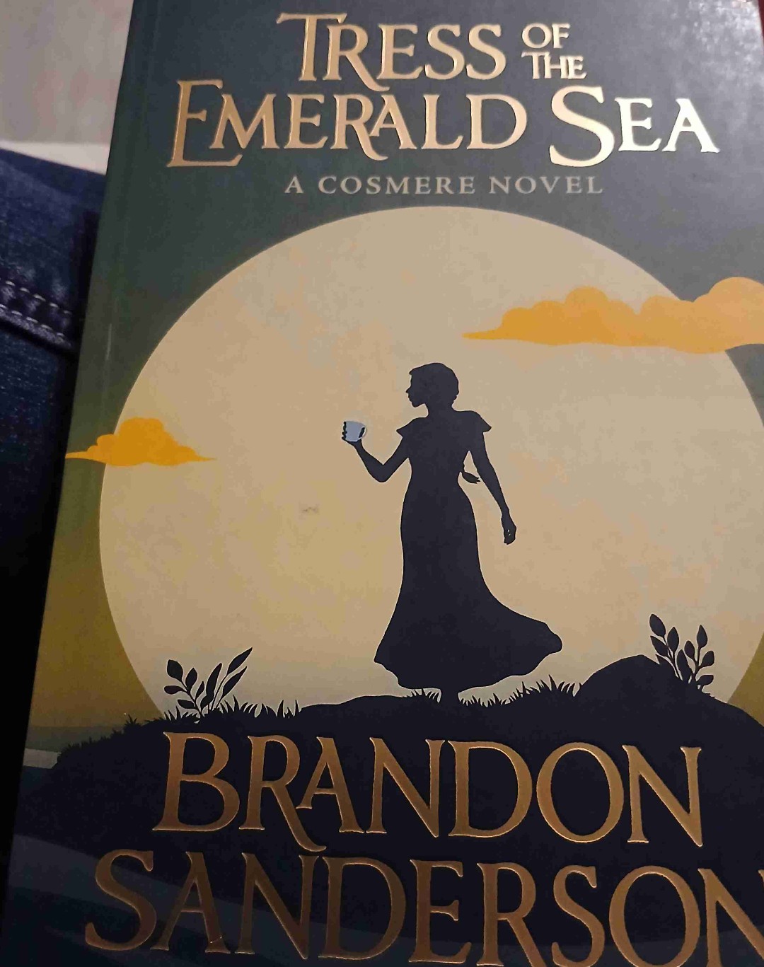 Ein wundervolles Buch mit wundervollen Charakteren, einer faszinierenden Welt und einem schönen Schreibstil.