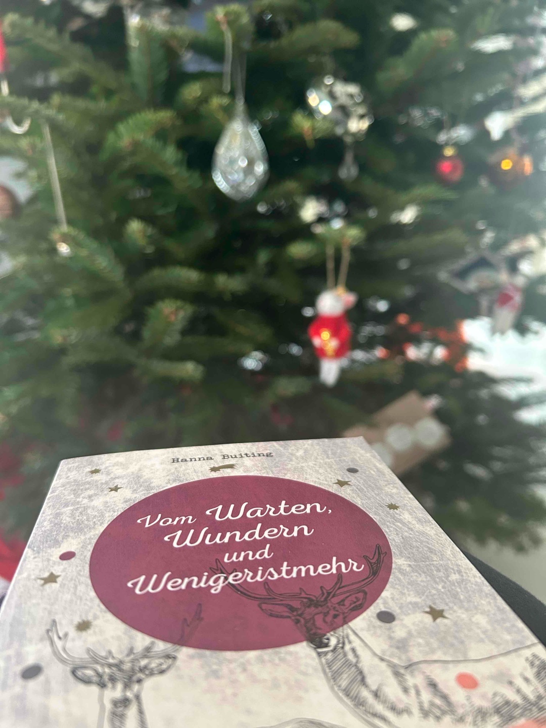 Sehr schönes, besinnliches Adventskalenderbuch