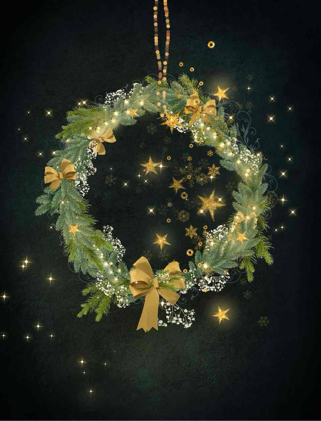 Frohe Weihnachten 🎄🎁