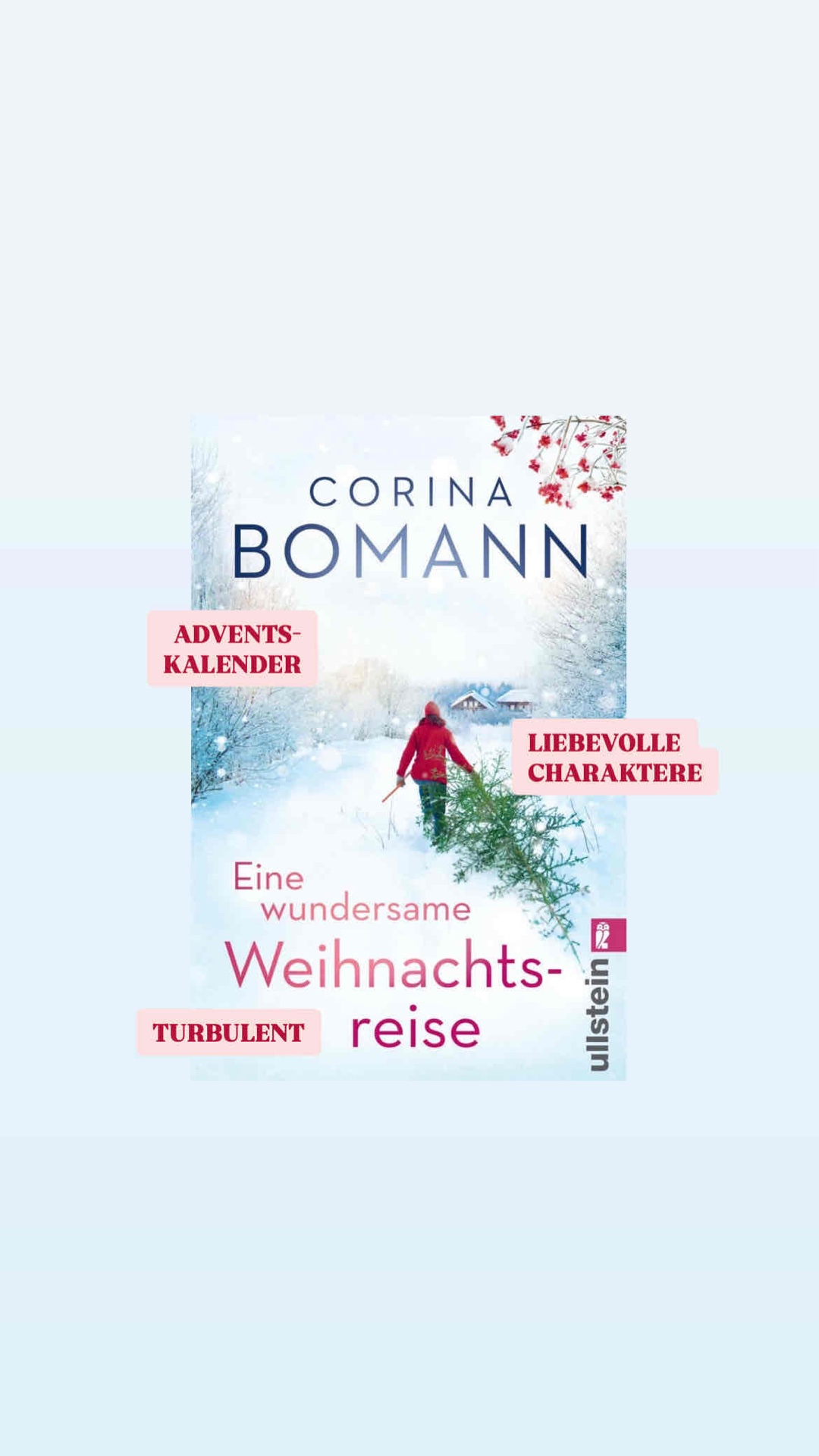 📖🎄✨❄️